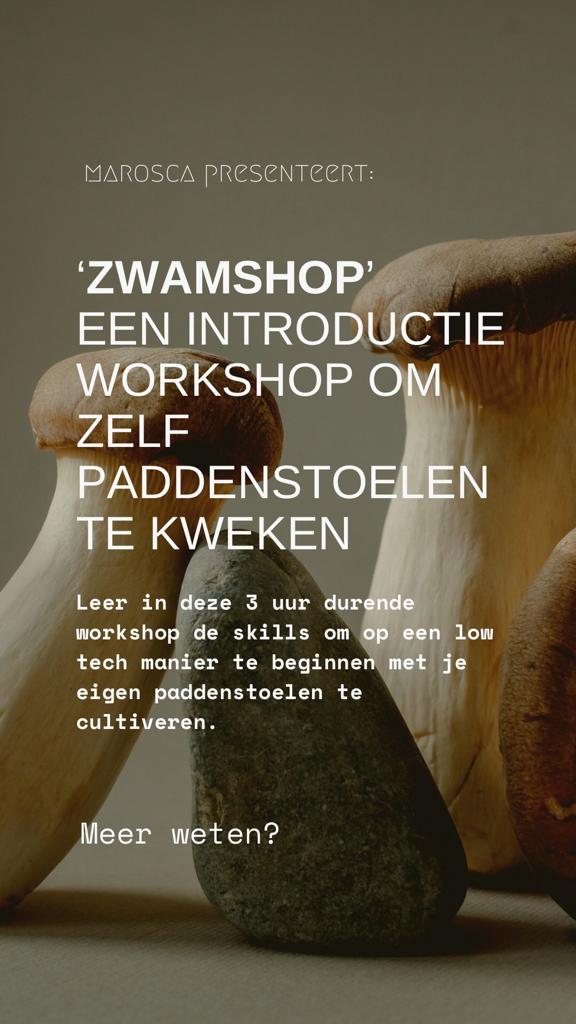 Zwamshops (NL)